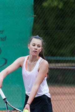 Bild 138 - NL VfL Westercelle - SVE Wiefelstede : Ergebnis: 8:1